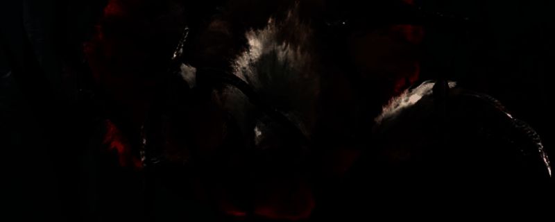 《怪物猎人：荒野》刺花蜘蛛相关画面