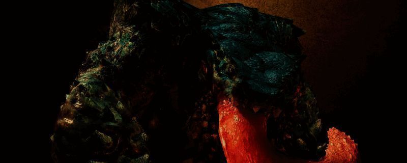 《怪物猎人：荒野》游戏相关图片