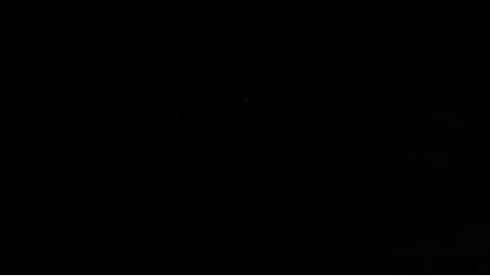 【重点】《驯龙高手:旅程》8月2日公测 全新CG今日正式发布973.png 神秘龙骑手及唤雷龙相关图片