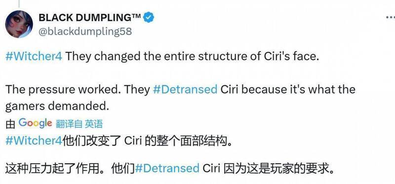 《巫师4》相关画面3