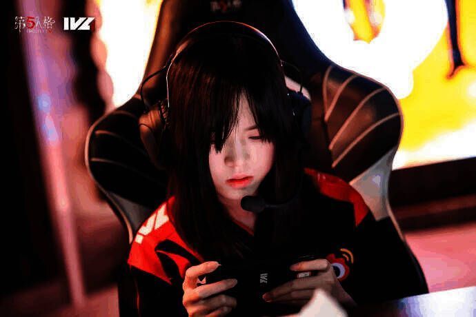 WBG_Persica相关图片2