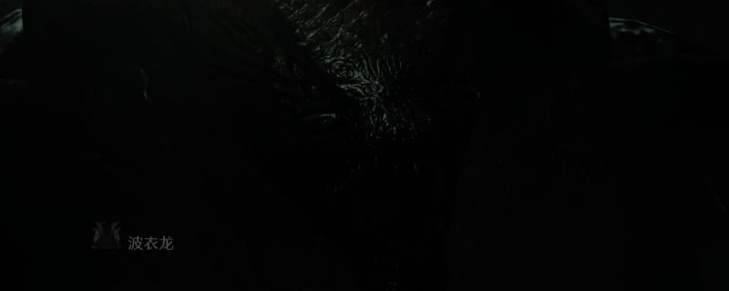 《怪物猎人:荒野》中波衣龙的相关画面