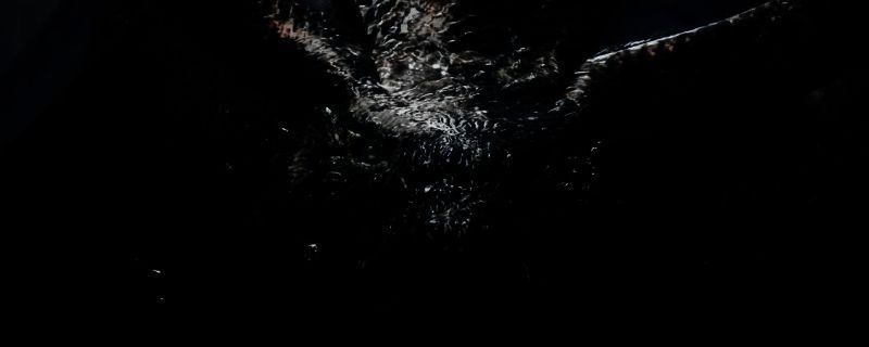 《怪物猎人：荒野》波衣龙相关图片