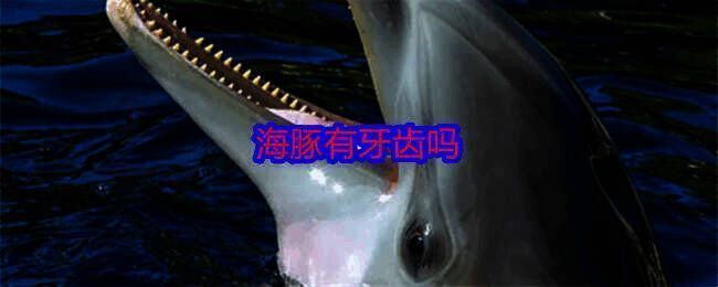 相关配图1