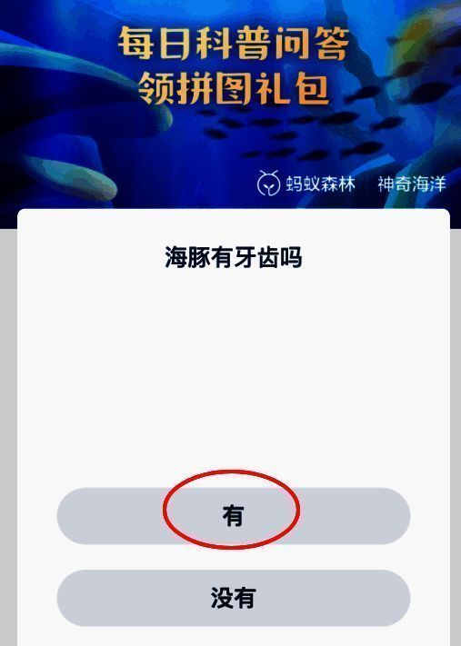 相关配图2