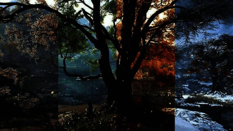 《刺客信条：影》宣传画面1