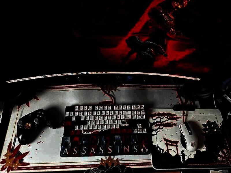 《刺客信条：影》宣传画面4