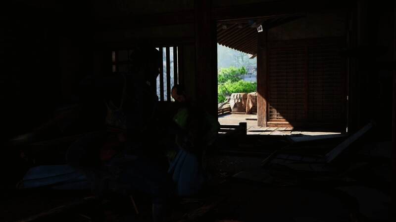 《刺客信条：影》血腥斩首画面