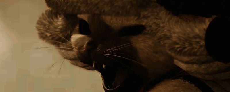 《怪物猎人:荒野》相关图片 1