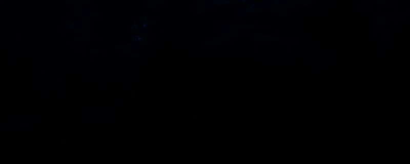 《怪物猎人:荒野》相关游戏画面1