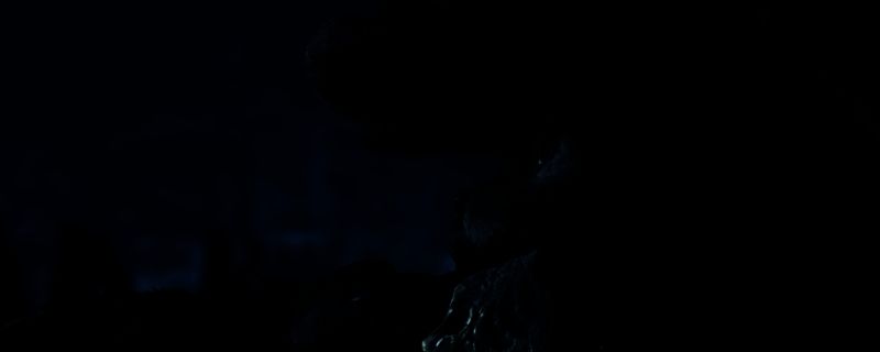 《怪物猎人：荒野》相关画面1