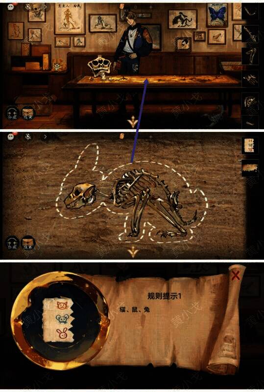 林漾视角组装兔子骨骼获得规则提示1