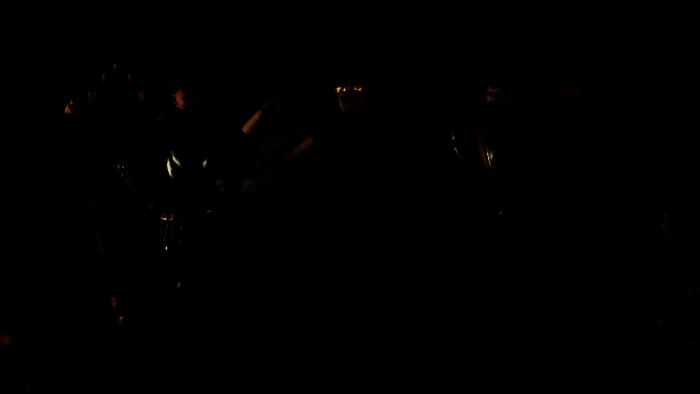 戈德温与列支敦士谈话画面