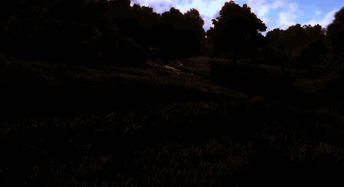 《天国：拯救2》获取接骨木叶场景图