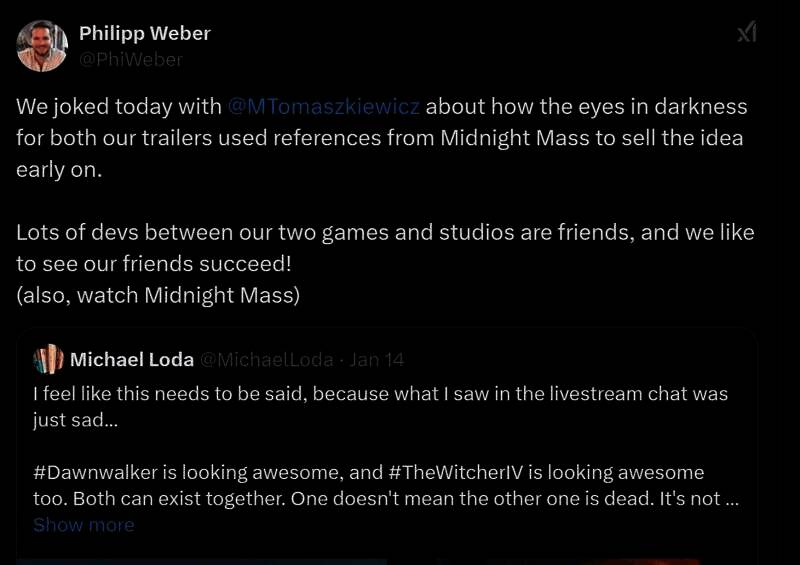 《巫师4》叙事总监表达支持画面