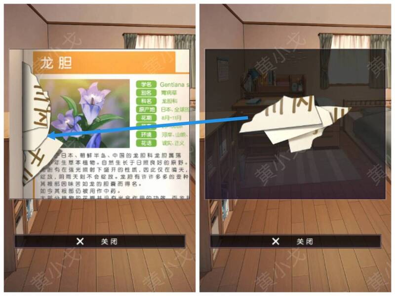 从植物图鉴获得碎片画面