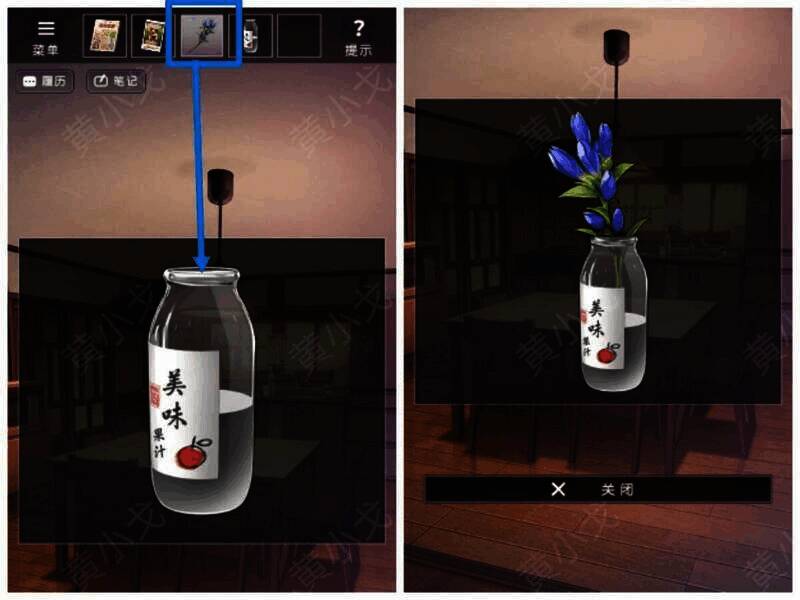 将龙胆插入装水瓶子画面