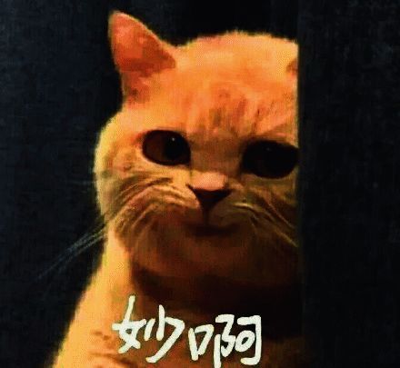 相关游戏场景图1