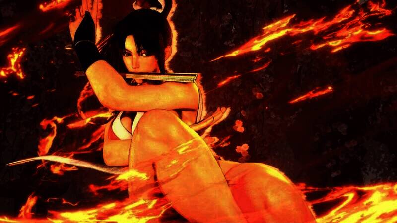 不知火舞贺图或截图之三