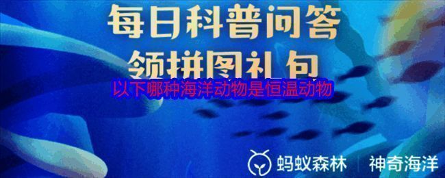 神奇海洋相关图片1