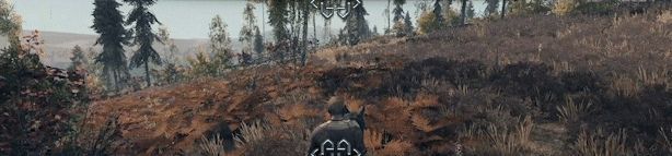 《封建时代：Arden》新大陆画面