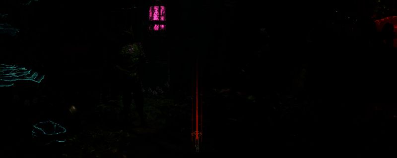 玛珈岚的祝福相关图片