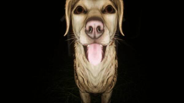 《田地》游戏相关画面2