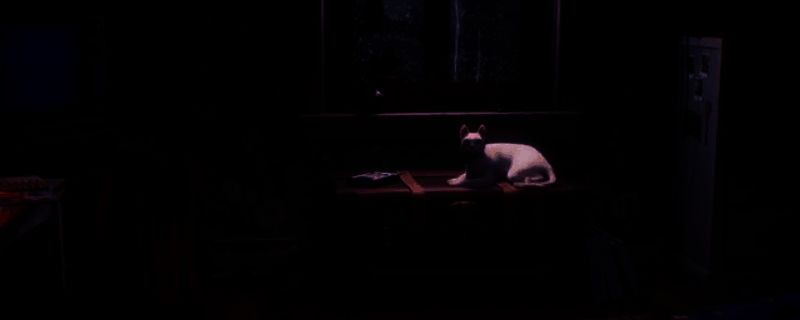 失落的记录绽放与愤怒游戏画面