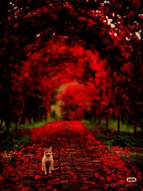 游玩线路一景点补充图