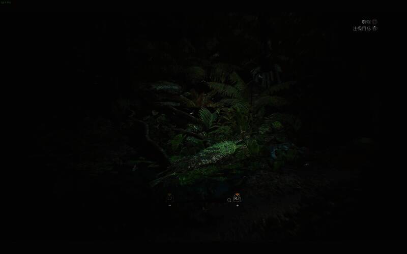 绯红森林丰饶期白昼大本营出口左侧水洼画面