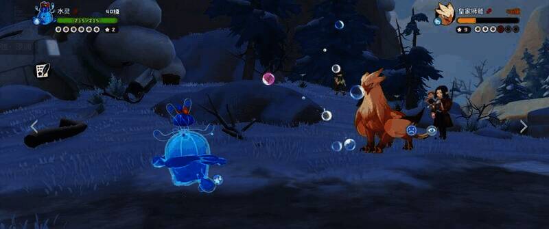 飞行宠物相关图片