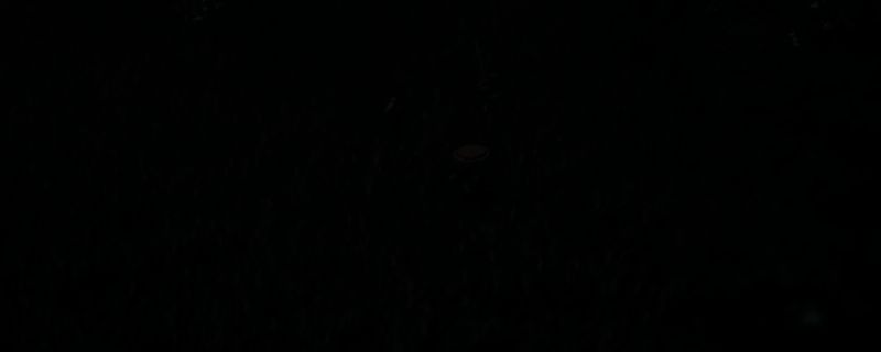 浪人踪迹相关图片1