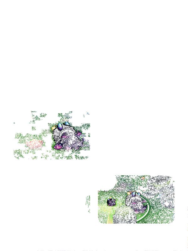 心森逐灵玩法动态画面2