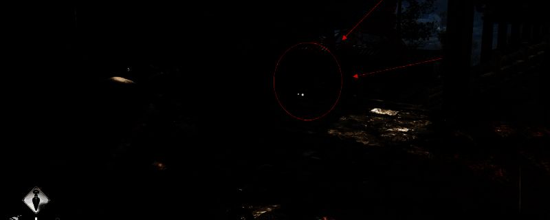 刺客信条：影游戏画面展示