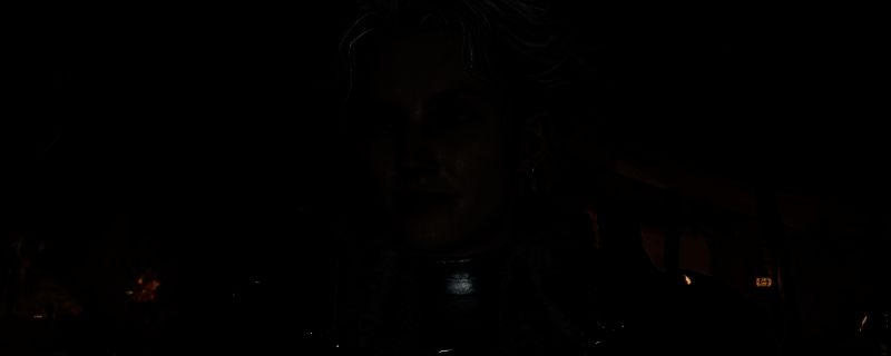 怪物猎人：荒野弹刀场景示意