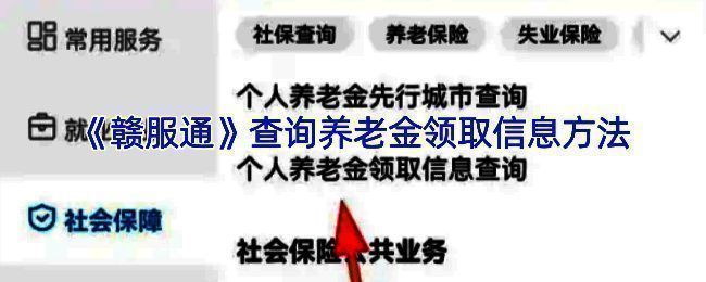 赣服通查询养老金相关界面示例图