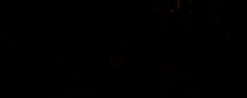 《刺客信条：影》游戏画面相关图片