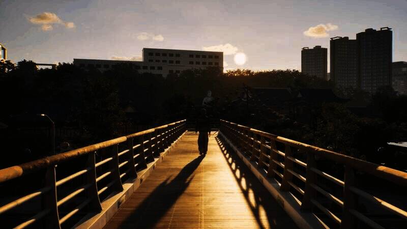 《inZOI》视频截图4