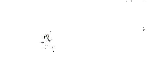 百花缭乱技能动画