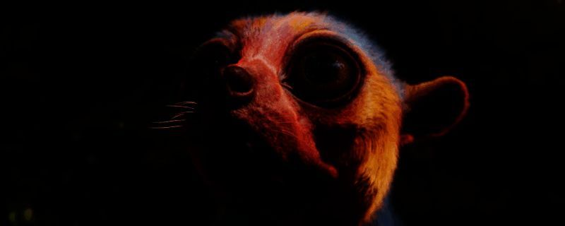 宣誓游戏相关图片1