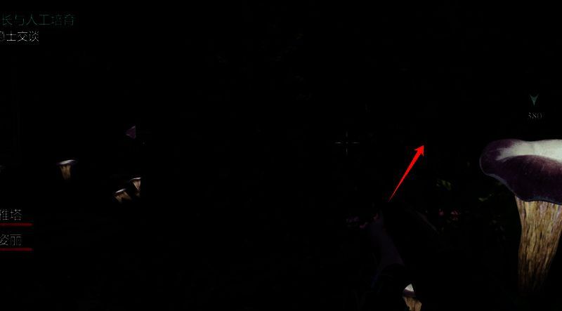 藏宝图二另一相关画面