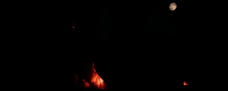 《瘟疫3：检疫》游戏相关图片