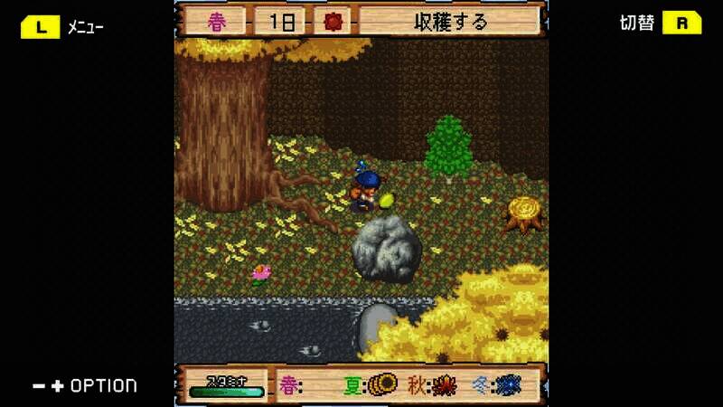 《牧场物语 丰饶之岛》游戏截图3