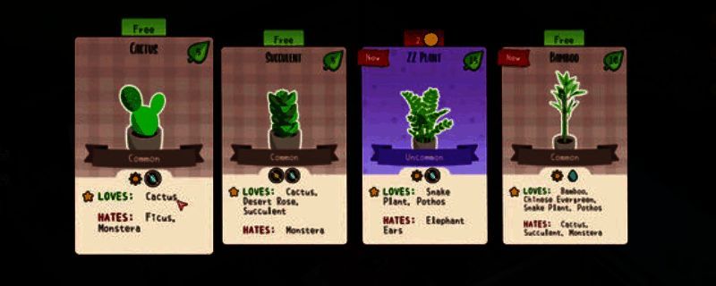 《我的小绿屋》相关图片1