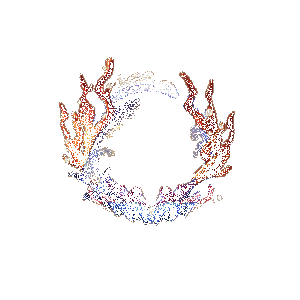 海月屋奖励动态展示图