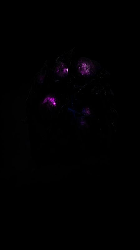 新魂碑和战力测试关卡画面图