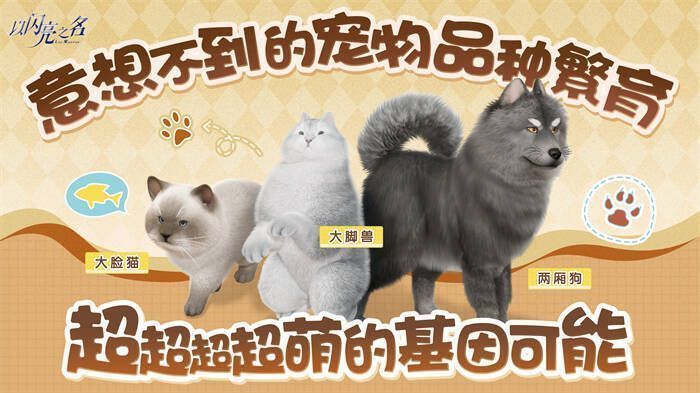 《以闪亮之名》宠物系统相关画面