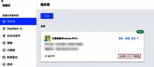 公网IP地址展示