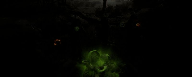 《荒野先驱》相关图片1