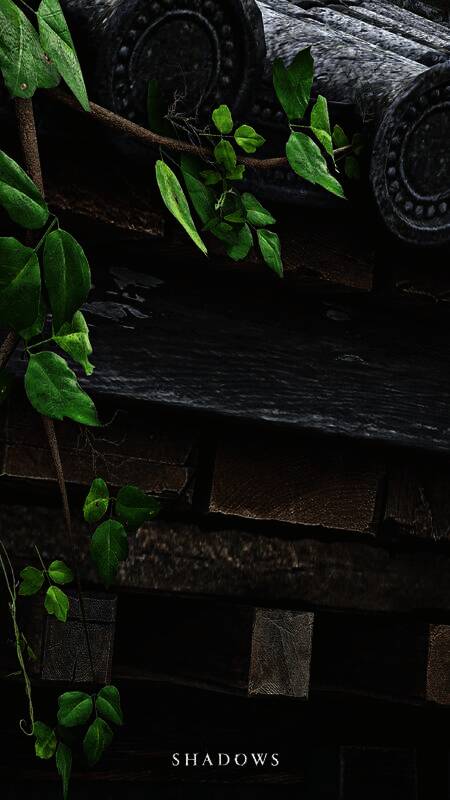 《刺客信条：影》手机壁纸1